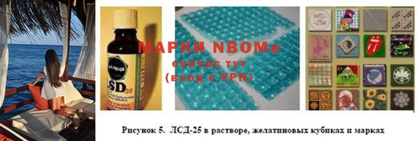 дживик Белокуриха