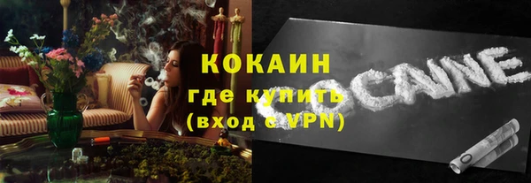 дживик Белокуриха