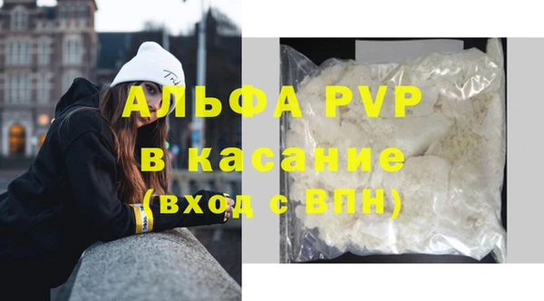 дживик Белокуриха