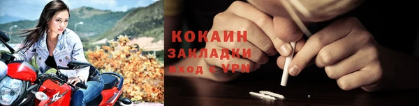 дживик Белокуриха