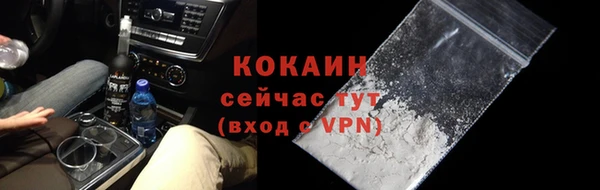 дживик Белокуриха