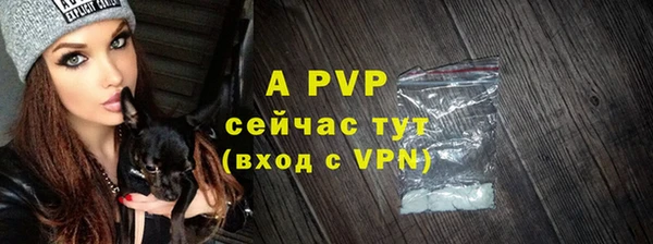 дживик Белокуриха