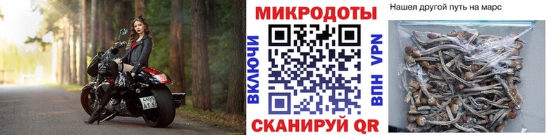 Галлюциногенные грибы ЛСД  Елизово 